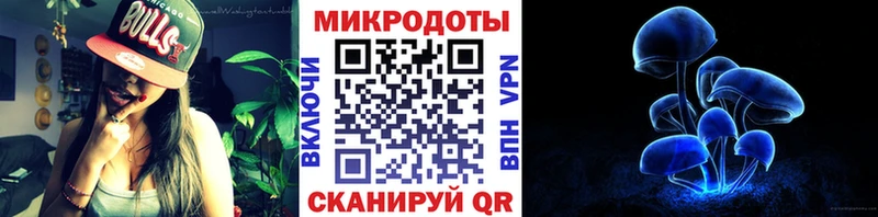darknet Telegram  Александров  Псилоцибиновые грибы Magic Shrooms 