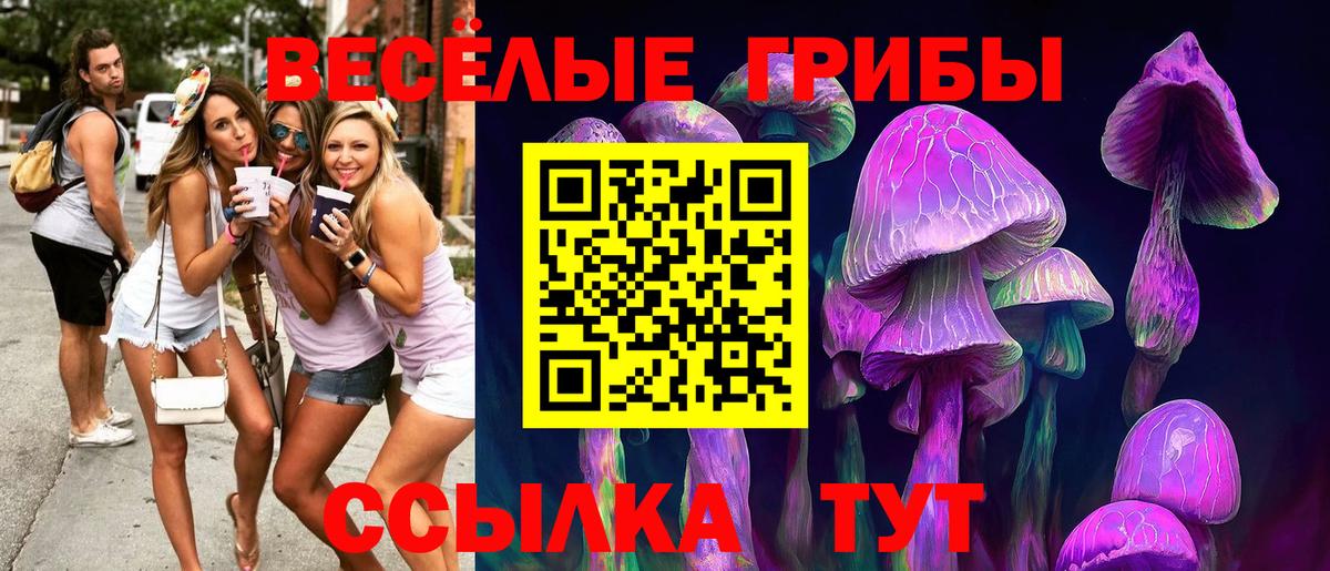 Псилоцибиновые грибы Magic Shrooms Александров